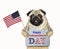 Dog patriot with a flag 2