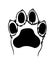 Dog paw with claws. Sketch drawing of a footprint of a pet.