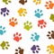 Dog paw print colorful pattern vector