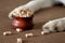 Dog paws beside a bowl of dog biscuits