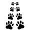 Dog paws following illustration on a white background