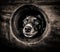 Dog peeking out from a circular opening in a wall, AI-generated.