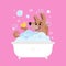 Dog pet grooming. Caring about dog. Pet washing service. Happy bathing pet. Flat vector illustration