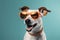 dog pet portrait cute animal sunglasses funny humor smile background . Generative AI.