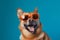 dog pet smile animal  funny studio cute background sunglasses portrait. Generative AI.