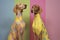 dog pet stylish latex funny art concept fashion colourful animal. Generative AI.
