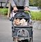 Dog pets travel in baby carriage in japan