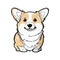 Dog picture, Welsh Corgi, It\\\'s so beautiful.