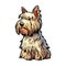 Dog picture, Yorkshire Terrier, It\\\'s so beautiful.