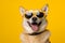  dog pink cute sunglasses funny pet background animal smile portrait. Generative AI.