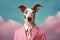 Dog in a pink jacket and tie