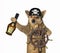 Dog pirate at helm of ship 3