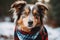 Dog in a plaid bandana on a winter snowy background.