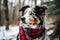 Dog in a plaid bandana on a winter snowy background.