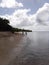 Dog play on a paradise deserted beach