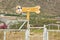 Dog playground near the mountain. The inscription in Spanish - `Dog zone.` Entrance.