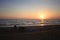 A dog playing on the beach under sunset