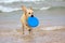 Dog playing with frisbee