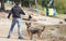 Dog playing frisbee on the beach, german shepherd playing frisbee on the beach, dog on the beach