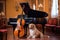 dog playing violin and cat playing the piano in a grand concert hall