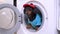 Dog in plumber outfit with wrench in mouth sits in drum of washing machine.