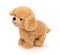 Dog plushie doll isolated on white background with shadow reflection. Playful bright brown puppy toy. Plush stuffed puppet.