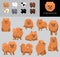 Dog Pomeranian Cartoon Vector Illustration Color Variation Set