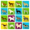 Dog, pooch, breed, and other web icon in flat style.Dalmatian, shepherd, terrier, icons in set collection.