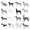 Dog, pooch, breed, and other web icon in monochrome style.Dalmatian, shepherd, terrier, icons in set collection.