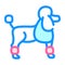 dog poodle color icon vector illustration color
