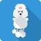 Dog Poodle icon flat design