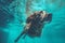 dog pool fun vacation water puppy underwater snorkeling swimming funny. Generative AI.