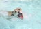 Dog in the pool going for ball