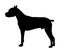 Dog portrait of American Staffordshire pit bull terrier vector silhouette.