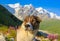 Dog portrait on the background of peaks of the Caucasus Mountains