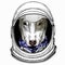 Dog portrait, bullterrier portrait, bullterrier head, dog head. Astronaut animal. Vector portrait. Cosmos and Spaceman