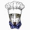 Dog portrait Chef cook hat. Restaurant logo. Bullterrier portrait, bullterrier head, dog head