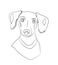 Dog portrait, dachshund, lines, vector