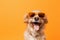 dog portrait funny  background young cute pet smile sunglasses animal. Generative AI.