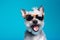 dog portrait glasses  pet cute animal smile background funny sunglasses. Generative AI.