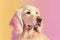 Dog portrait, pink and yellow pastel colors, copy space. Generative AI