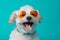 dog portrait smile pet cute animal sunglasses funny  background trendy. Generative AI.