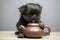 Dog portrait teapot wooden table