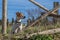 Dog portrait under old wooden fence