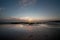 Dog prints on wet sand on beach at sunrise sunset