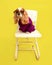 Dog professor sit on chair with glasses and sweater and look at camera in studio on yellow background. Humor photo