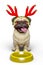 Dog pug cartoon with a christmas hat want some food