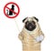 Dog pug holds cat prohibition sign