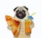 Dog pug holds puff pastry and juice