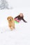 Dog pulling child on snow sled
